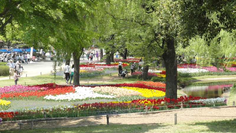 img0250.jpg