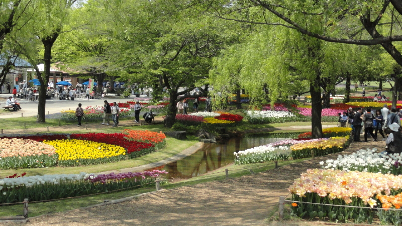 img0251.jpg