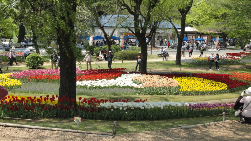 img0252.jpg