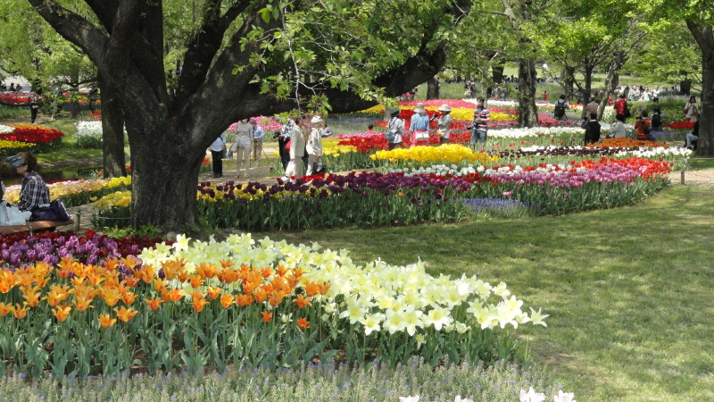 img0253.jpg
