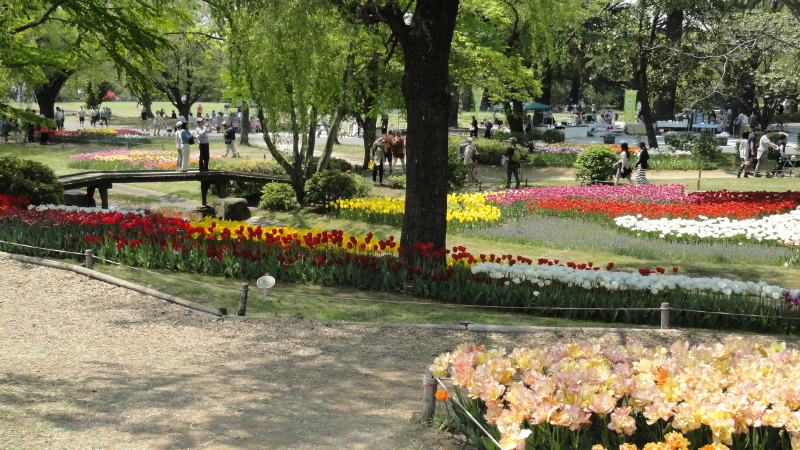 img0255.jpg