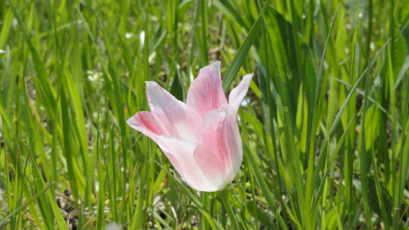 img0260.jpg