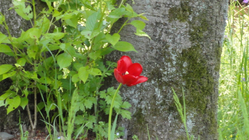 img0266.jpg