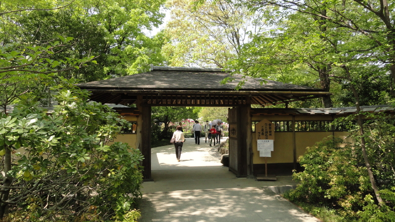 img0267.jpg