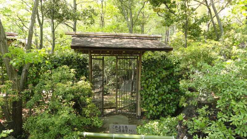 img0276.jpg