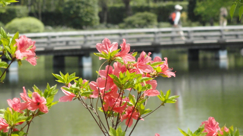 img0279.jpg