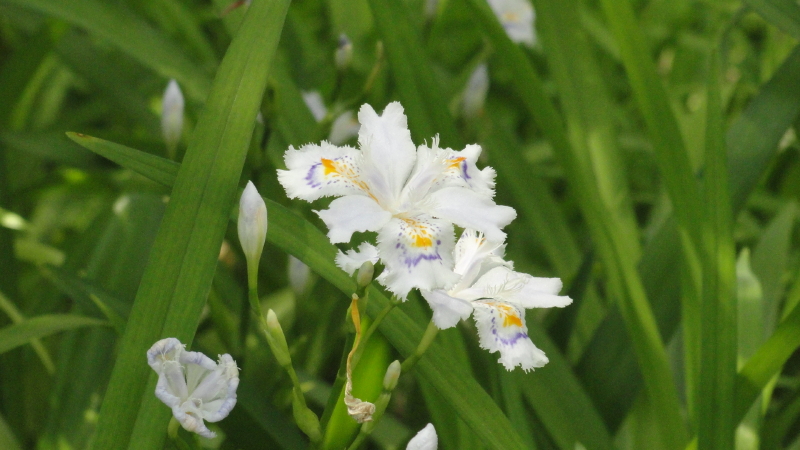 img0280.jpg