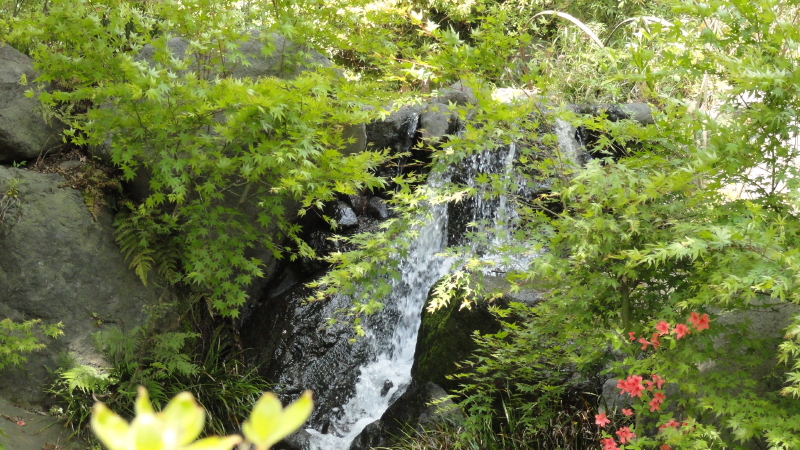 img0283.jpg