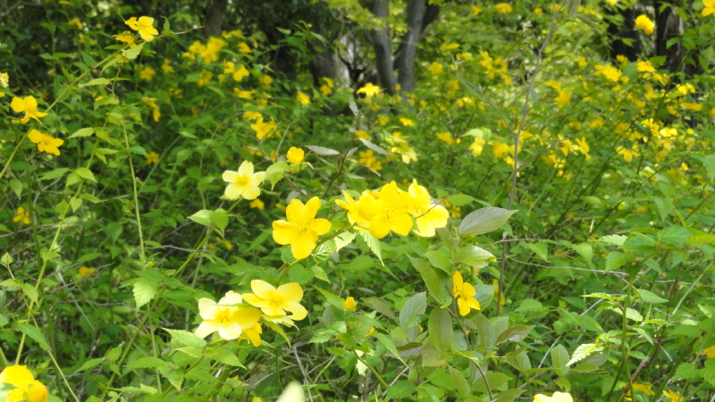 img0284.jpg