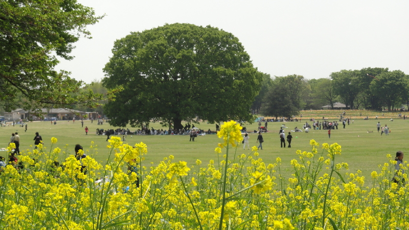 img0296.jpg
