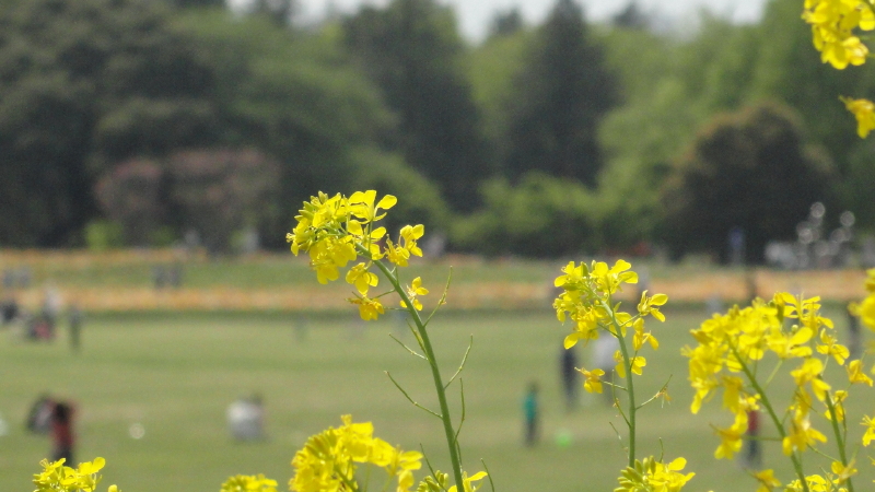 img0300.jpg