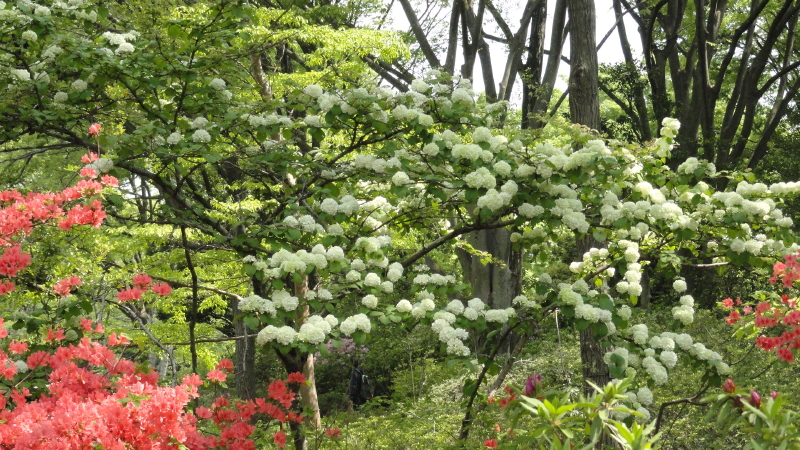 img0301.jpg