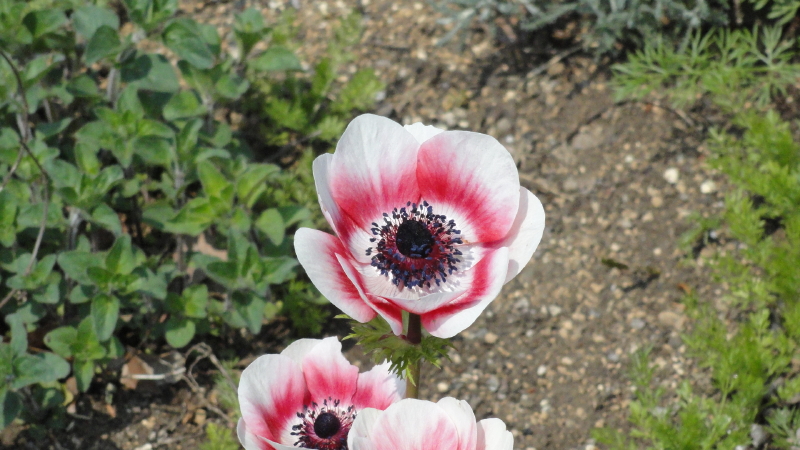 img0310.jpg
