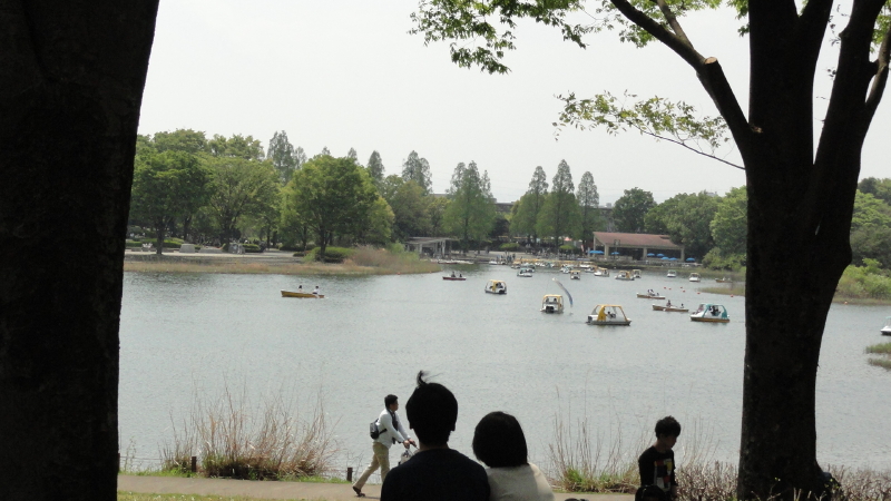 img0317.jpg