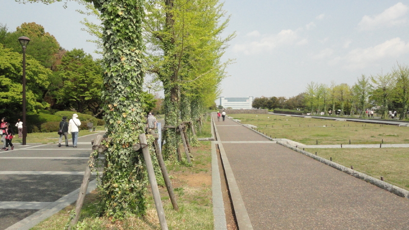 img0323.jpg