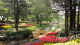img0009.jpg