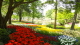 img0014.jpg