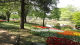 img0017.jpg
