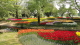 img0025.jpg