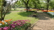 img0041.jpg
