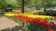 img0042.jpg