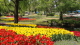 img0045.jpg