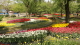 img0051.jpg