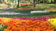 img0069.jpg