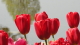 img0072.jpg