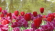 img0073.jpg