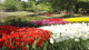 img0077.jpg