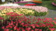 img0096.jpg