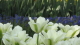 img0100.jpg