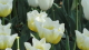 img0111.jpg