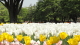 img0114.jpg