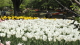 img0115.jpg