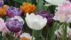 img0118.jpg