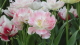img0120.jpg