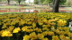 img0127.jpg