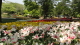 img0132.jpg