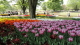 img0134.jpg