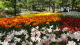 img0137.jpg