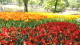 img0138.jpg