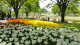 img0140.jpg