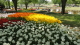 img0141.jpg