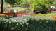 img0143.jpg