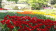 img0145.jpg
