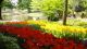 img0146.jpg