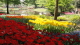 img0147.jpg
