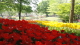 img0148.jpg